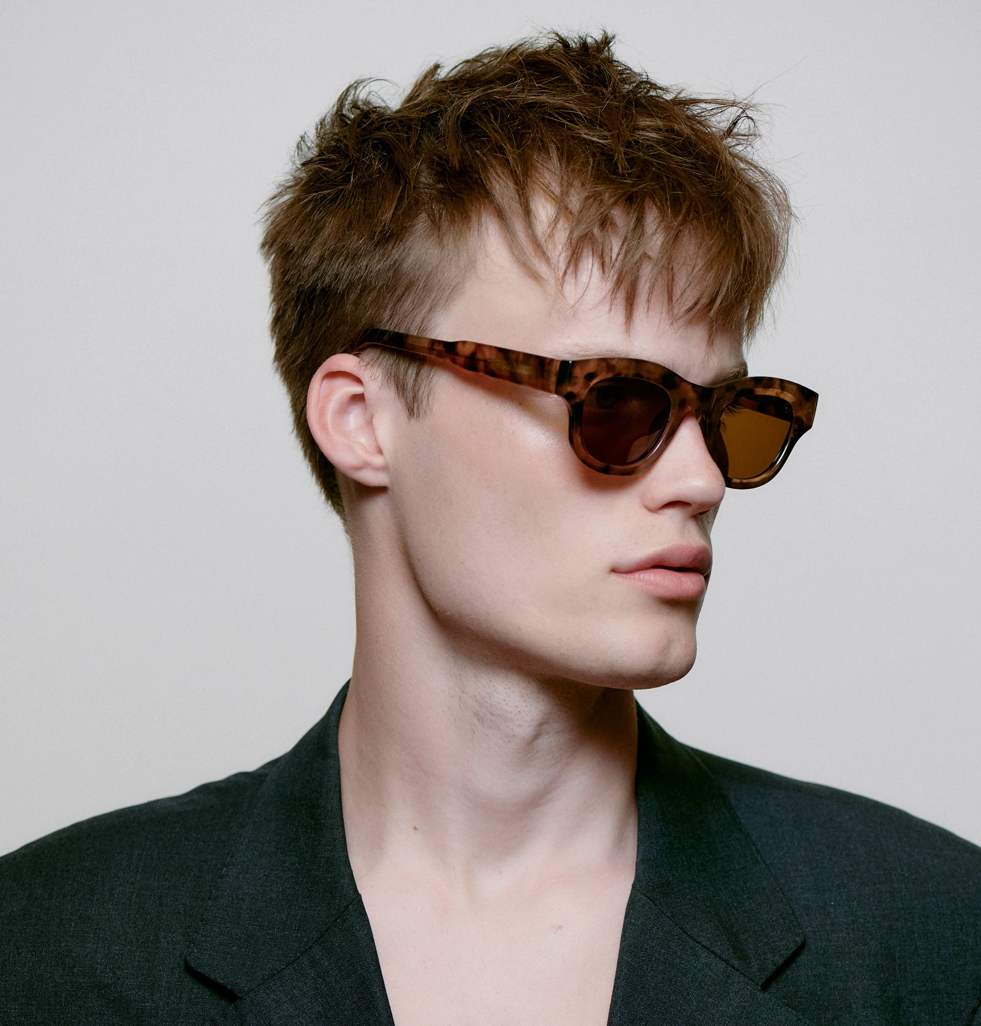 Lane - Coquina - Image 8